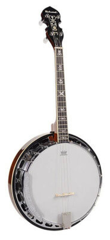 RMB-904-SS Tenor Banjo