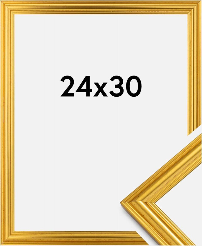 Ramme Frigg Gull 24x30 Cm