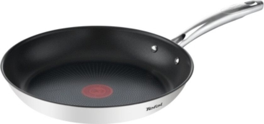 Stekepanne Duetto+ 24Cm, Tefal