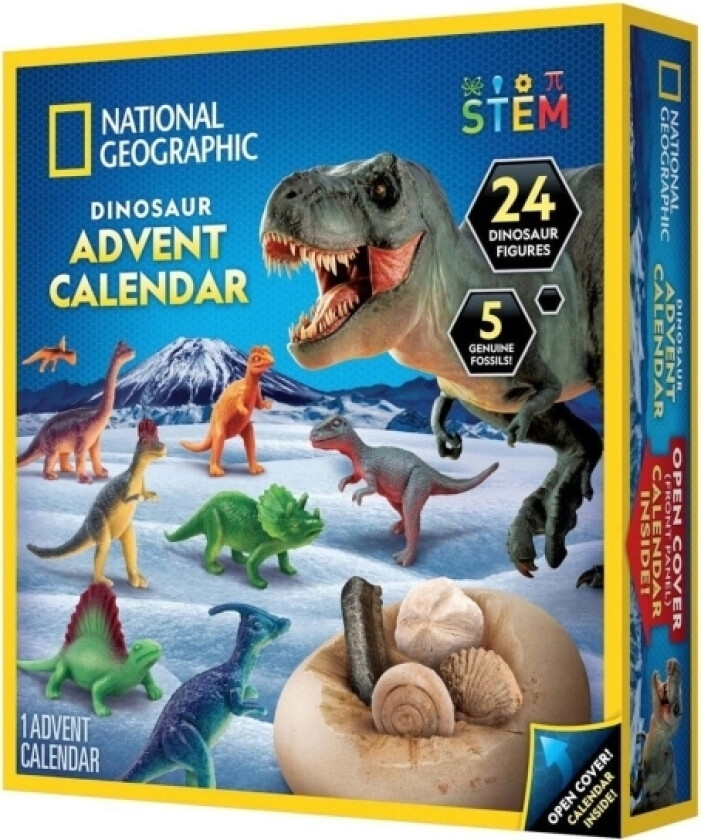 Dinosaur Advent Calendar 2024