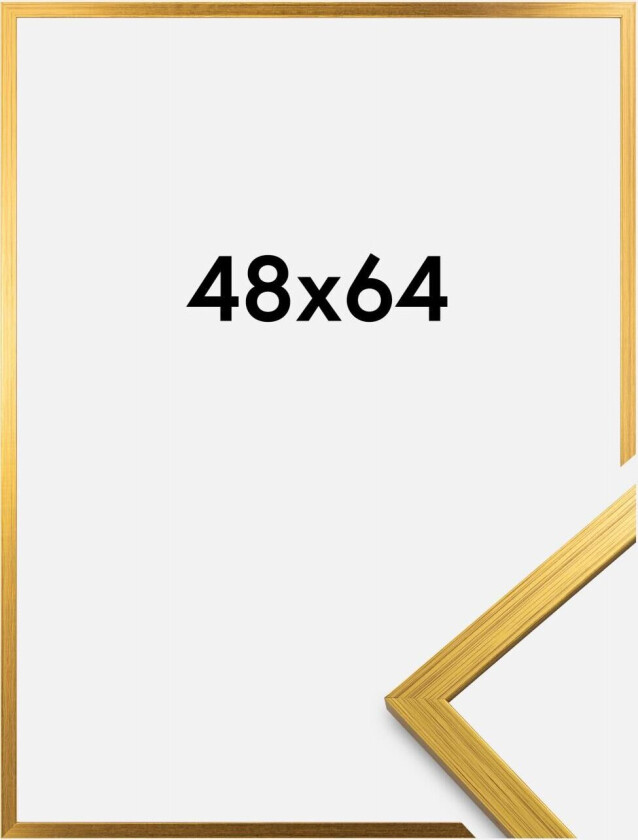 Ramme Edsbyn Akrylglass Gull 48x64 Cm