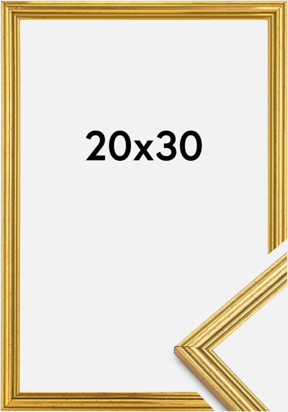 Ramme Classic Gull 20x30 Cm