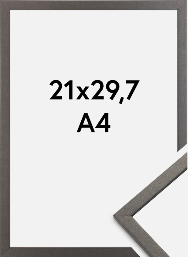 Ramme Edsbyn Grafitt 21x29,7 Cm (A4)