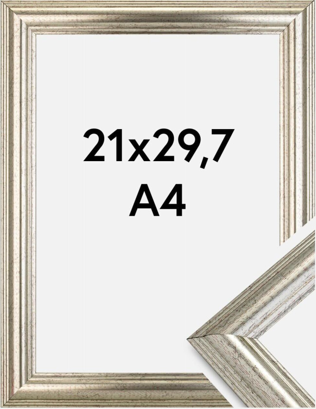 Ramme Västkusten Akrylglass Sølv 21x29,7 Cm (A4)