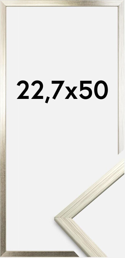 Ramme Edsbyn Akrylglass Sølv 22,7x50 Cm