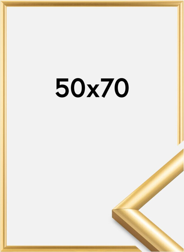 Ramme Trendstyle Gull 50x70 Cm