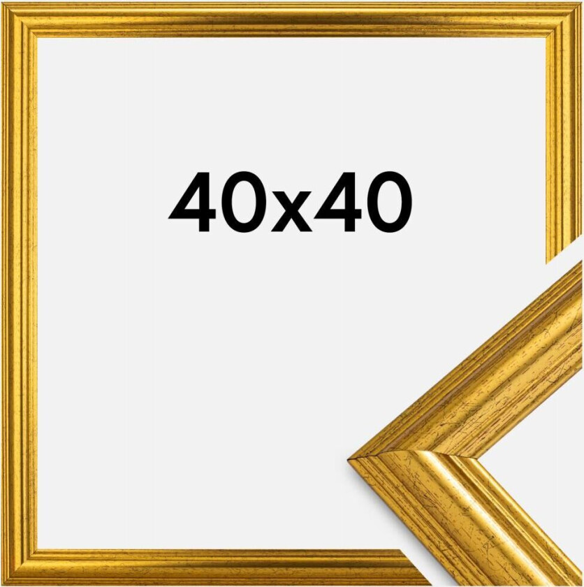 Ramme Västkusten Gull 40x40 Cm