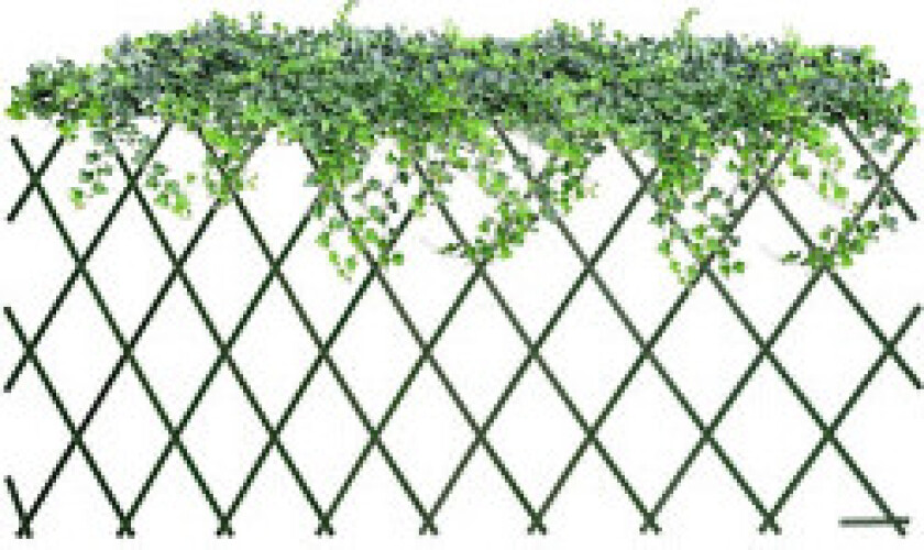 Sammenleggbar plantestøtte for klatreplanter - stabil og grønn