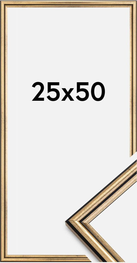 Ramme Horndal Gull 25x50 Cm