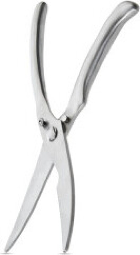 Effektiv kjøkkensaks: rustfritt og låsesystem for fugl