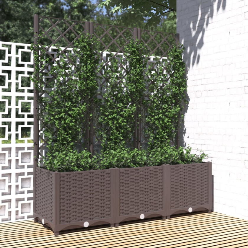 Bilde av Plantekasse med espalier brun 120x40x136 cm PP