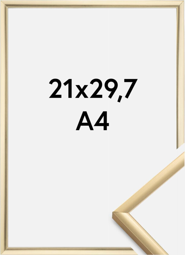 Ramme New Lifestyle Gull 21x29,7 Cm (A4)