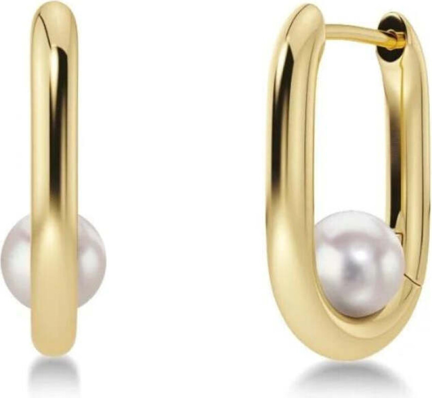 MODERNIST PEARL HOOPS S Gull