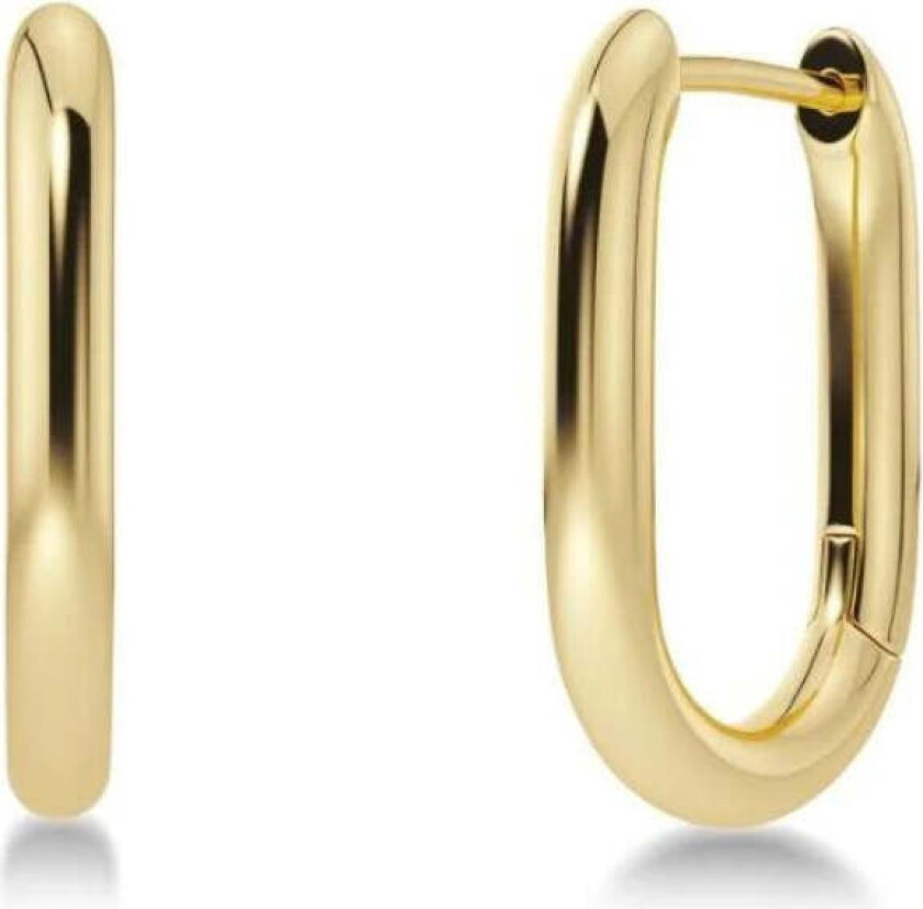 MODERNIST HOOPS S Gull