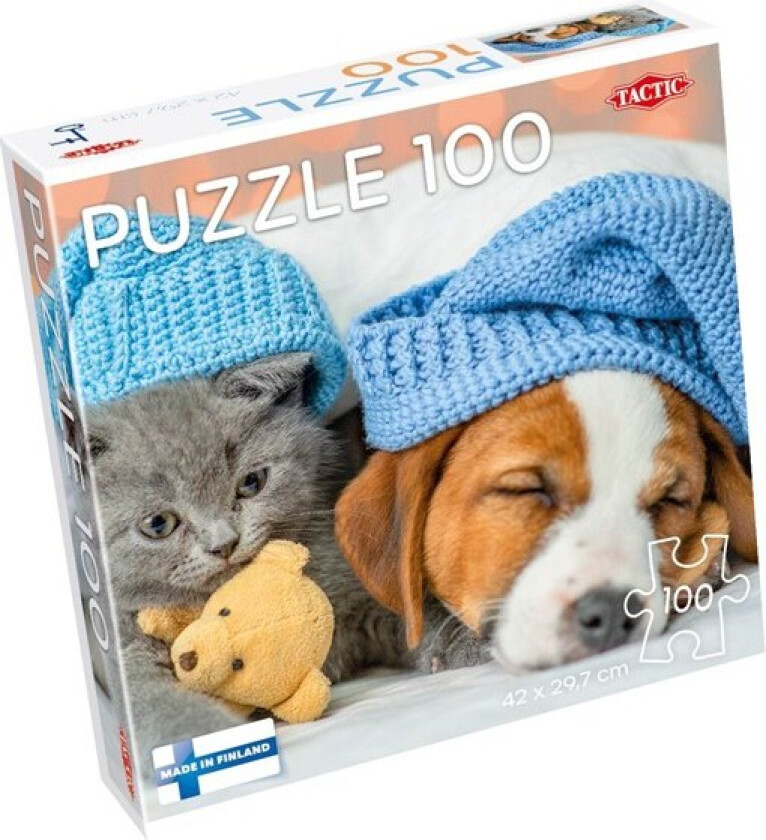 Puzzle Lovers Cute Kitten and Sleepy Dog 100 pcs