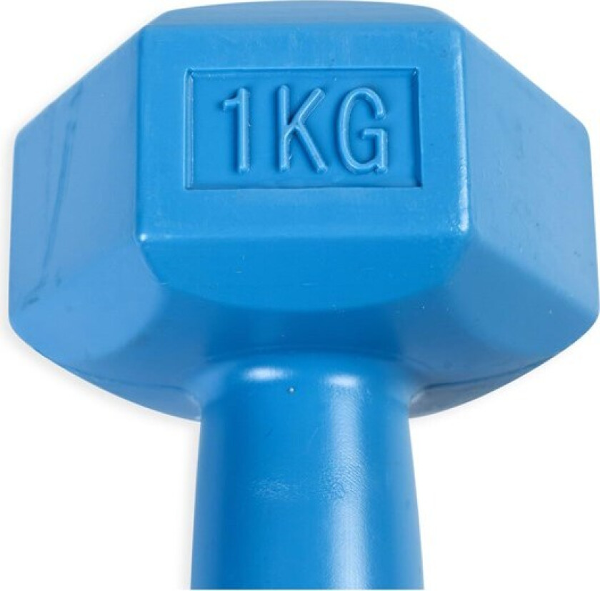Dumbbell - 1 kg.