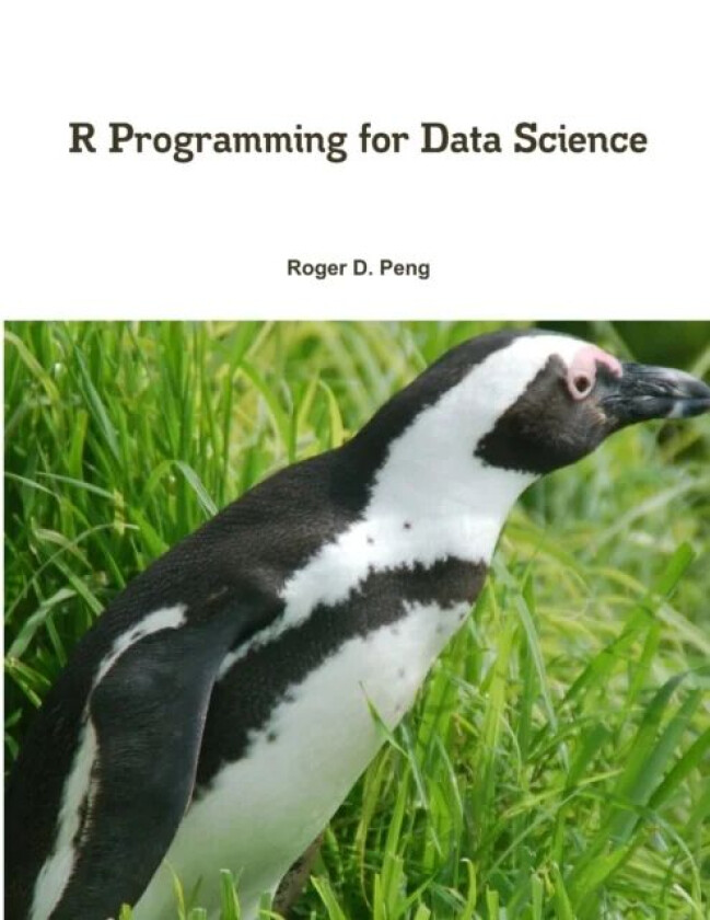 R Programming for Data Science av Roger Peng