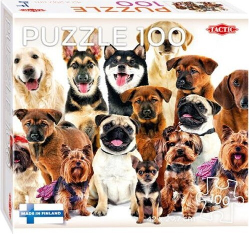 Jigsaw puzzle Group of Cute Dogs 100pcs. Gulv