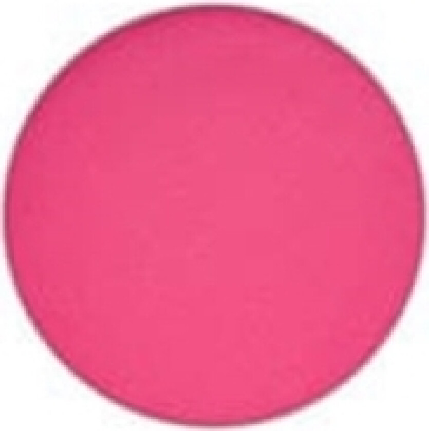 Pro Palette Refill Eyeshadow Matte Passionate