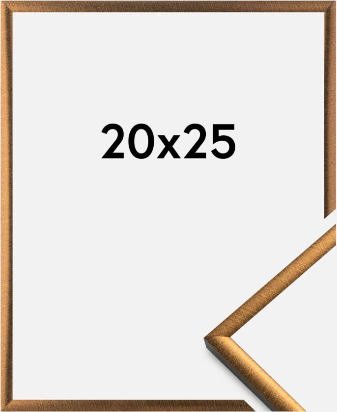 Ramme New Lifestyle Bronse 20x25 Cm