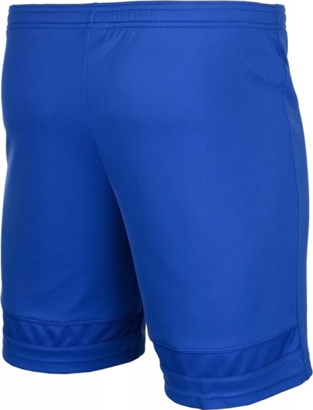 Shorts for menn Nike Dri-FIT Academy blå CW6107 480 (M)
