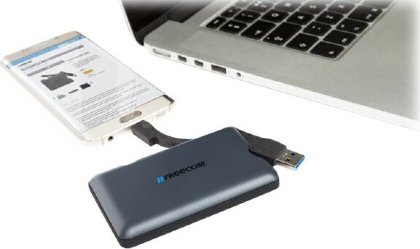 TABLET MINI - SSD - 256 GB - ekstern (bærbar) - USB 3.0 - svart, trekullgrå