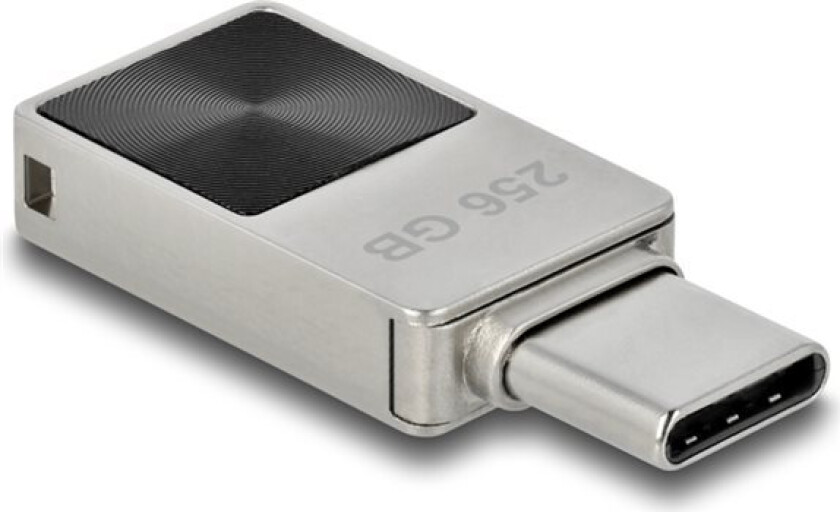 Mini USB 5 Gbps USB-C minnepinne 256 GB - metallhus