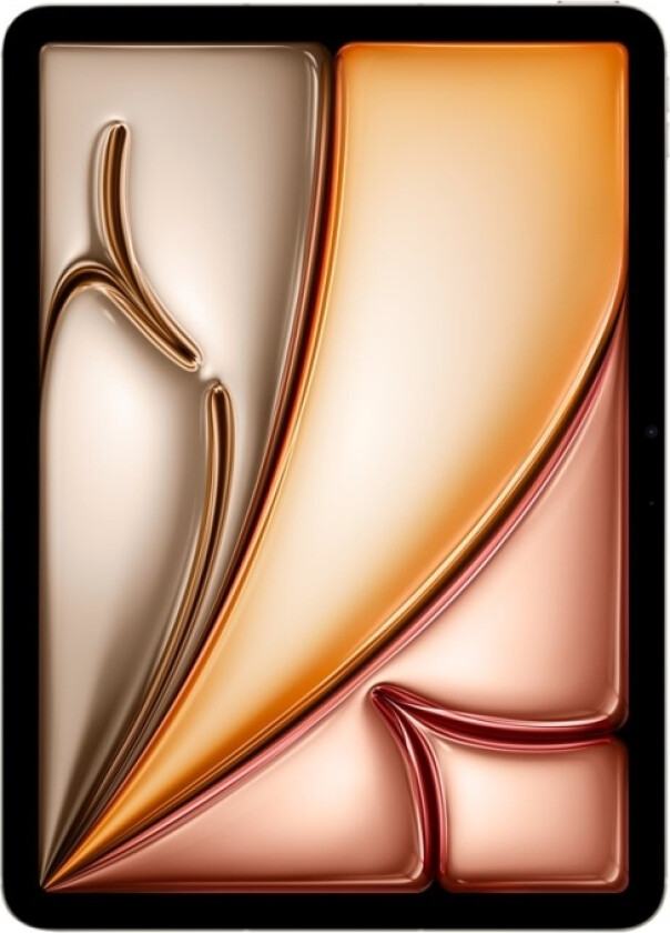 IPAD AIR 11 WF CL 1TB STL