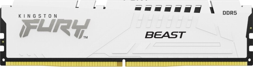 FURY Beast - DDR5 - modul - 32 GB - DIMM 288-pin - 6000 MHz / PC5-48000 - CL30 - 1.4 V - ikke-bufret - on-die ECC - hvit