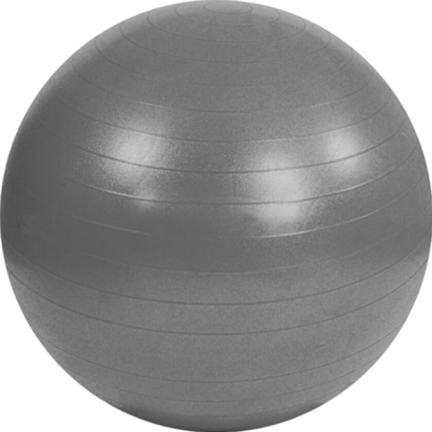 Gymball Anti-Burst S825760