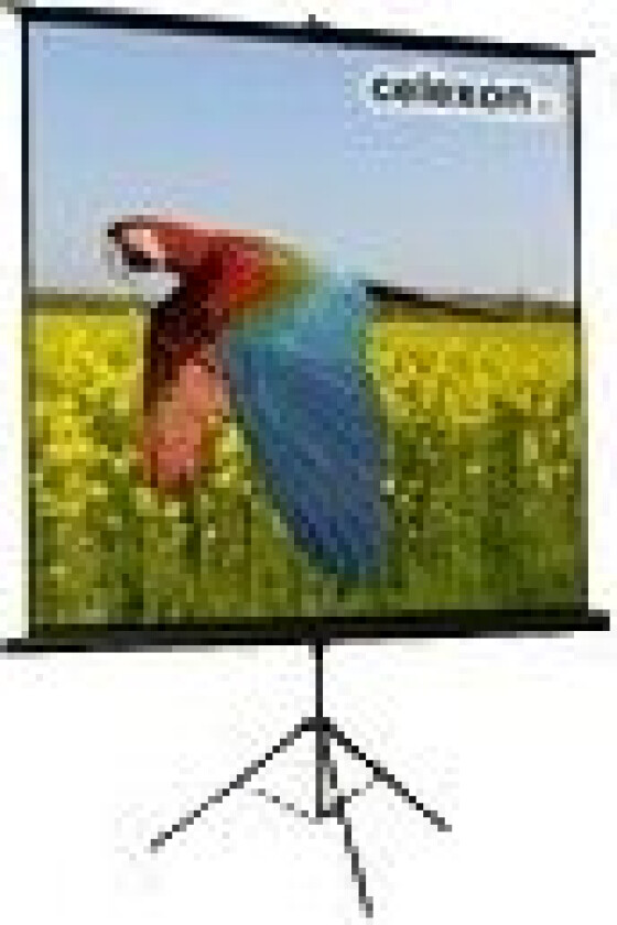 Celexon Economy tripod screen - Projeksjonsskjerm med tripod - 60 (153 cm) - 16:9