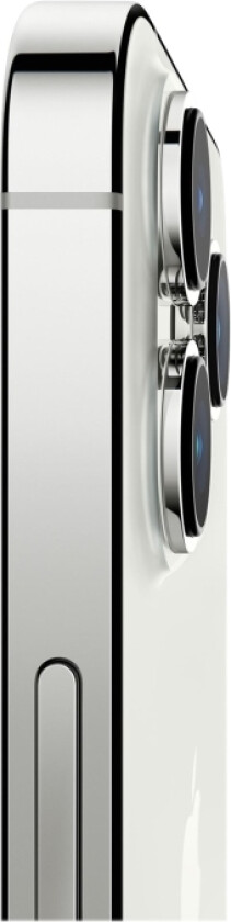 iPhone 13 Pro - 5G smartphone - dobbelt-SIM / Internminne 256 GB - OLED-display - 6.1" - 2532 x 1170 piksler (120 Hz) - 3x bakkamera 12 MP, 12