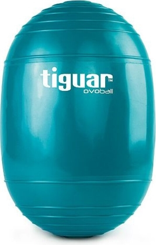 Elliptical gym ball Ovoball 25x16,5cm turquoise, univ (TI-V001M)