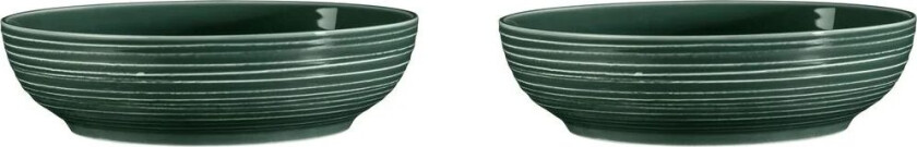 Terra skål Ø 25,5 cm 2-pakning Moss Green