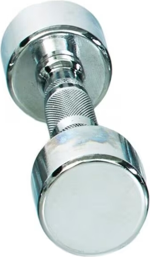 Pro Chrome Dumbbell 4kg - single