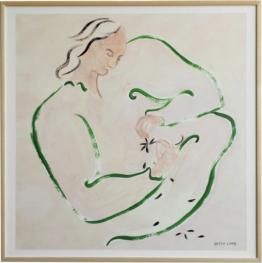 Love me not plakat 70 x 70 cm