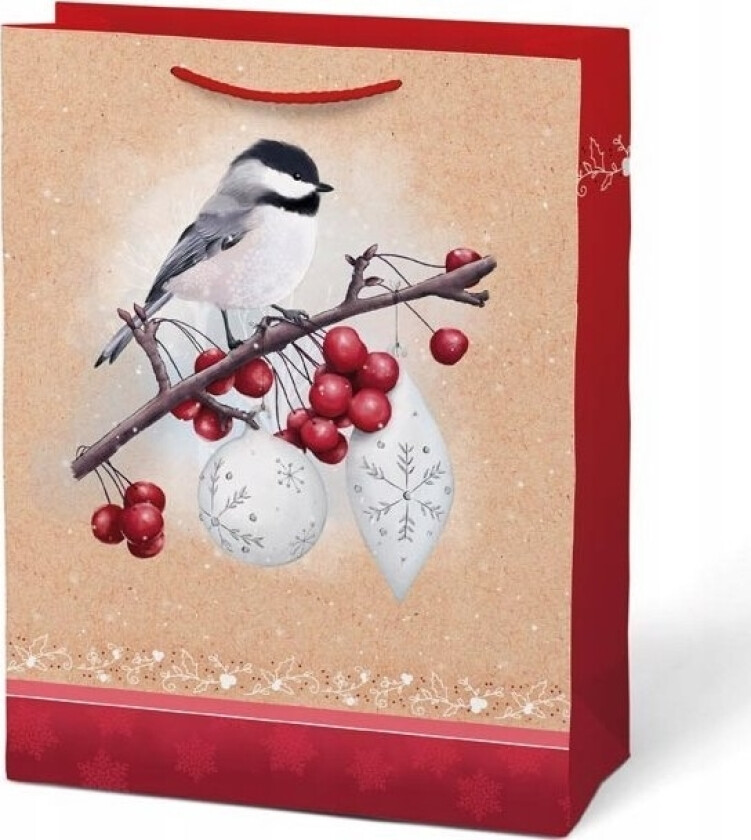 MFP papir gavepose BN T 5 mix V35 260x340x140 5251308