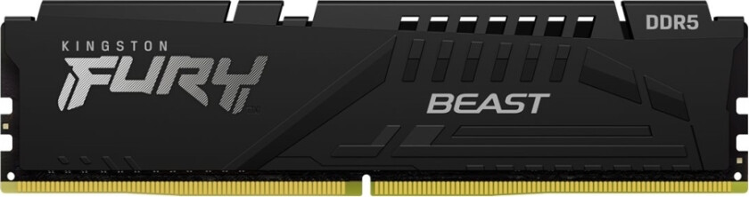 FURY Beast - DDR5 - modul - 32 GB - DIMM 288-pin - 6400 MHz / PC5-51200 - CL32 - 1.4 V - ikke-bufret - on-die ECC - svart