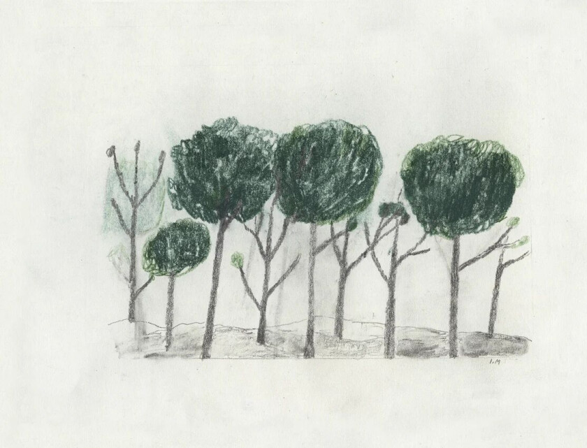 Trees plakat 50 x 70 cm Sort-offwhite