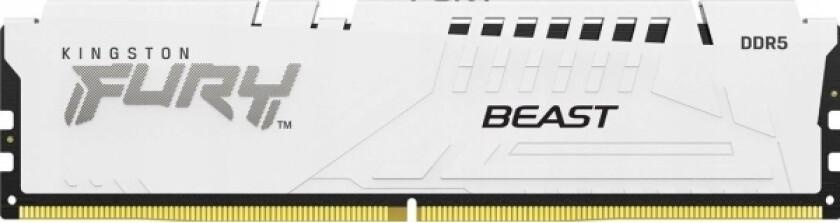 FURY Beast - DDR5 - modul - 16 GB - DIMM 288-pin - 6000 MHz / PC5-48000 - CL30 - 1.4 V - ikke-bufret - on-die ECC - hvit