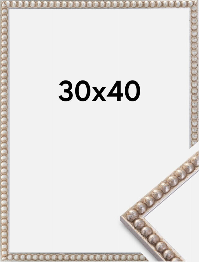 Ramme Sylvia Sølv 30x40 Cm