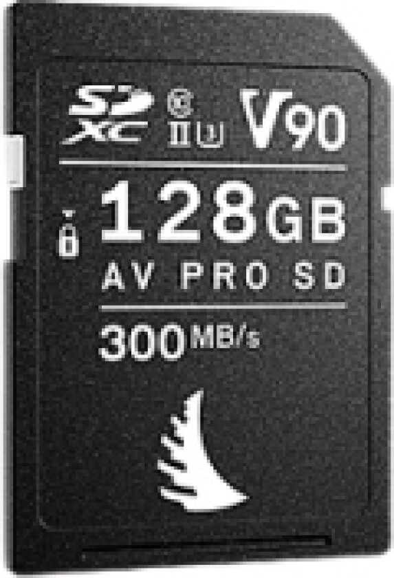 Technologies 17105011128, 128 GB, SDXC, Klasse 10, UHS-II, 300 MB/s, Class 3 (U3)