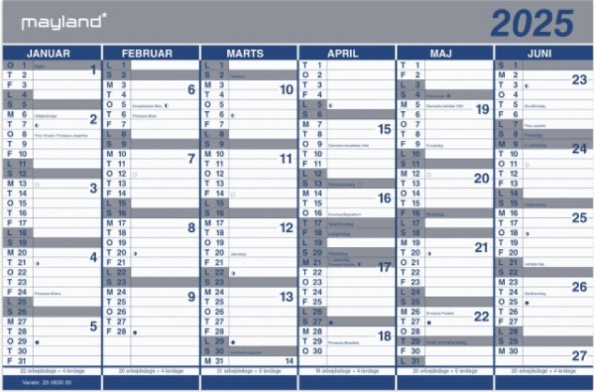 Kartonkalender halvårs 2025 44x29cm 25 0630 00