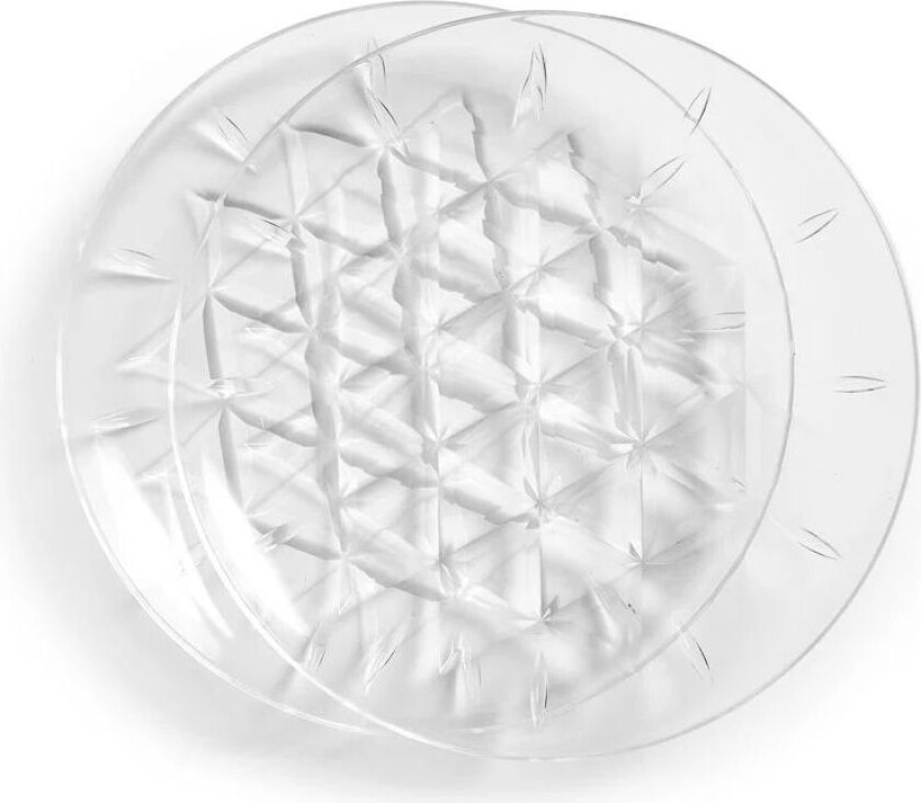 Picknick tallerken 2-stk. 26 cm