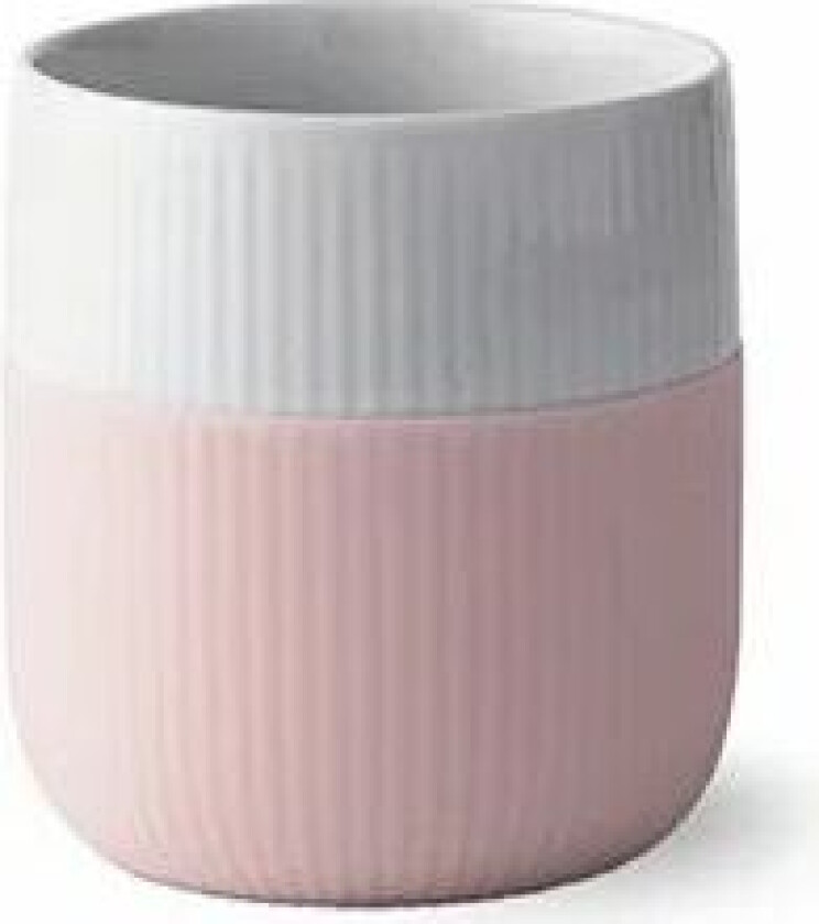 Fluted Contrast krus dahliarosa (lyserosa)