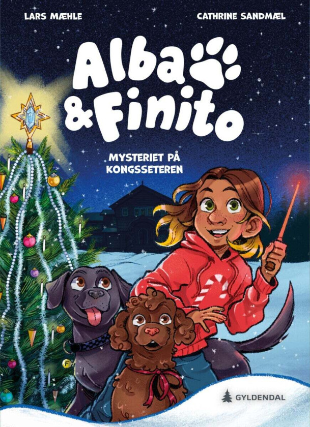 Mysteriet på Kongsseteren av Lars Mæhle