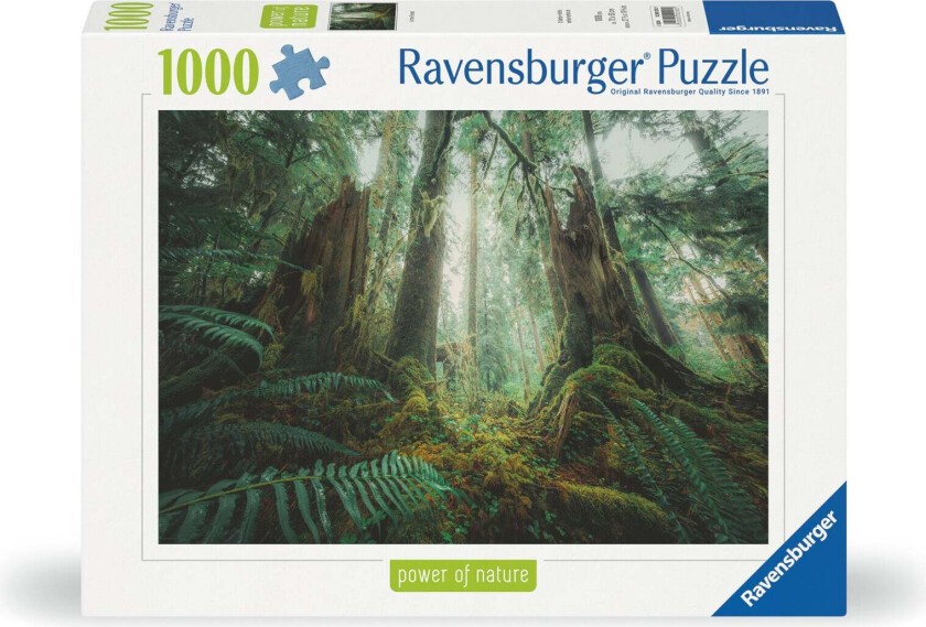 Puslespill 1000 Skog Ravensburger