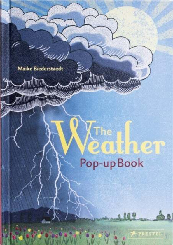 The Weather av Maike Biederstadt