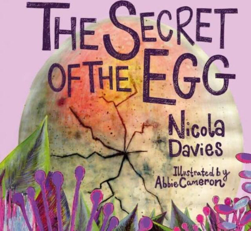 The Secret of the Egg av Nicola Davies