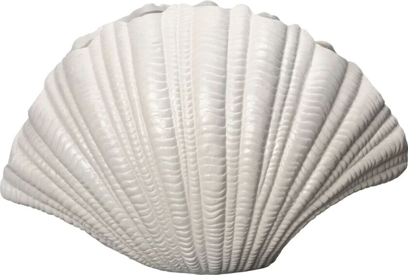 Shell vase Hvit